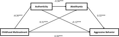 Childhood maltreatment and aggressive behavior among college students: a serial mediation model of authenticity and alexithymia